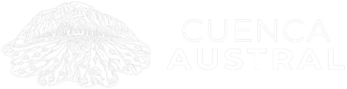 Cuenca Austral — Servicios geológicos, Patagonia